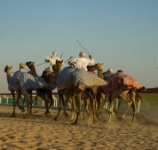 Travel and Tourism - United Arab Emirates - July 2002