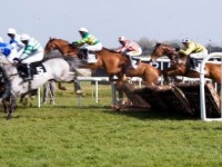 Dog and Horse Racing - UK - November 2009